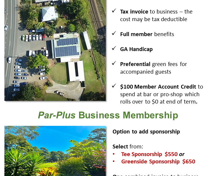 2020-04-Business-Membership-Flyer